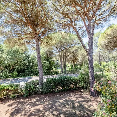 Saint-raphael Valescure - Maeva - Studio 4 Personnes - Conf 134 *